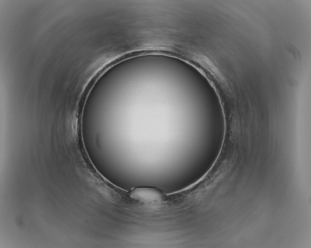 X0000110741268200906151056