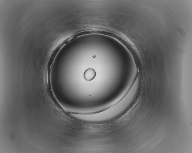 X0000110741269200906151056