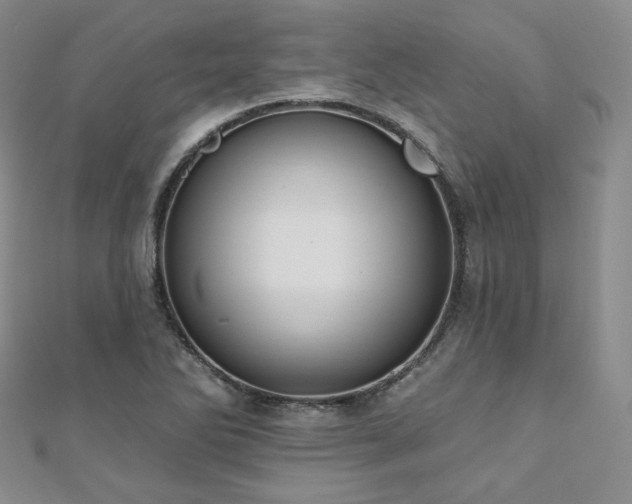X0000110741270200906151056