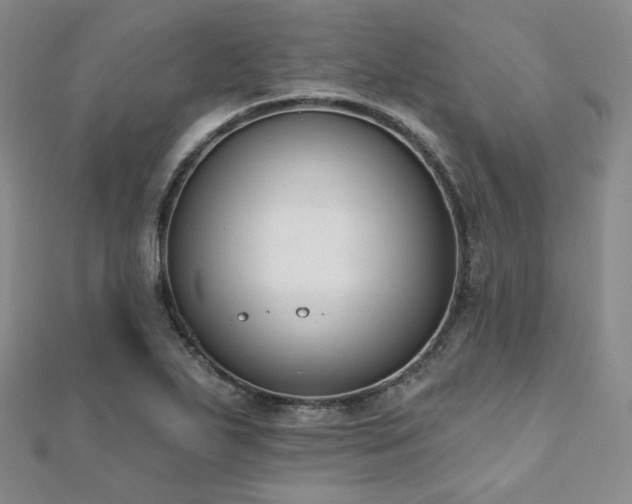 X0000110741271200906151056
