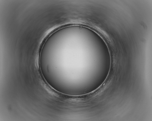 X0000110741272200906151056