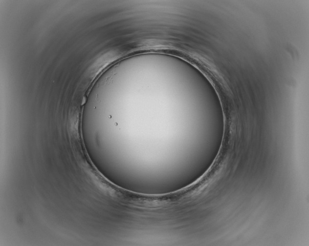 X0000110741273200906151056
