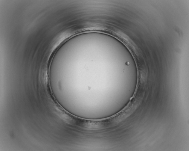 X0000110741274200906151056
