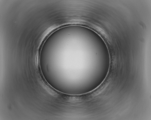 X0000110741275200906151056