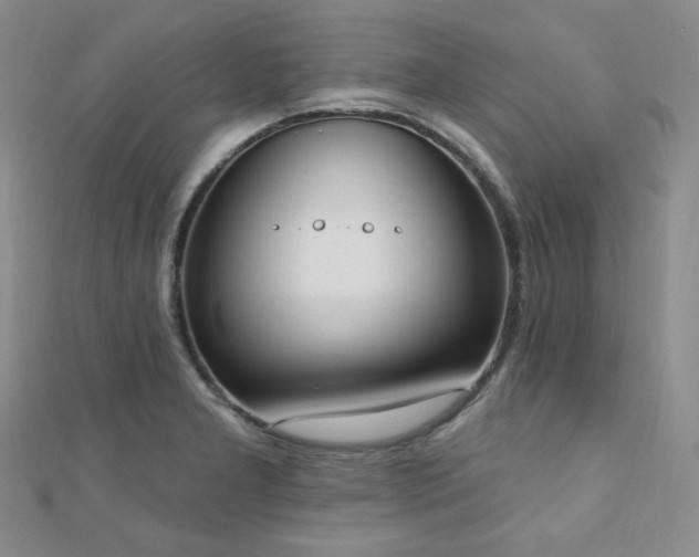 X0000110741277200906151056