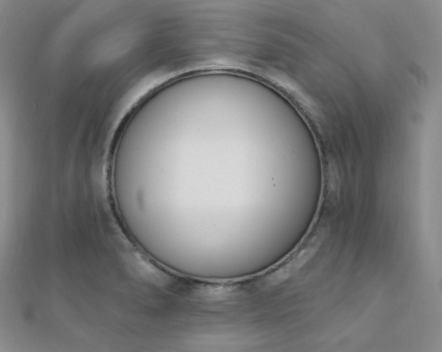 X0000110741278200906151056