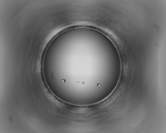 X0000110741279200906151056