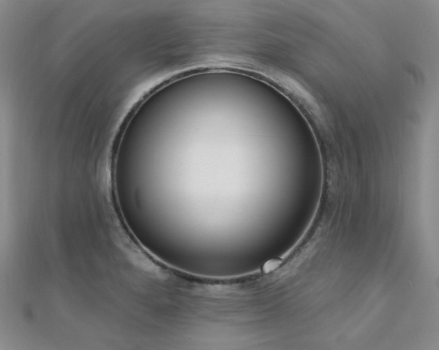 X0000110741280200906151056