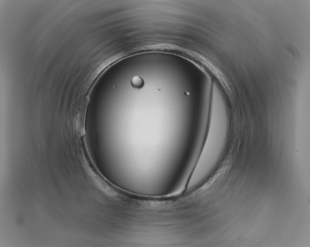 X0000110741281200906151056