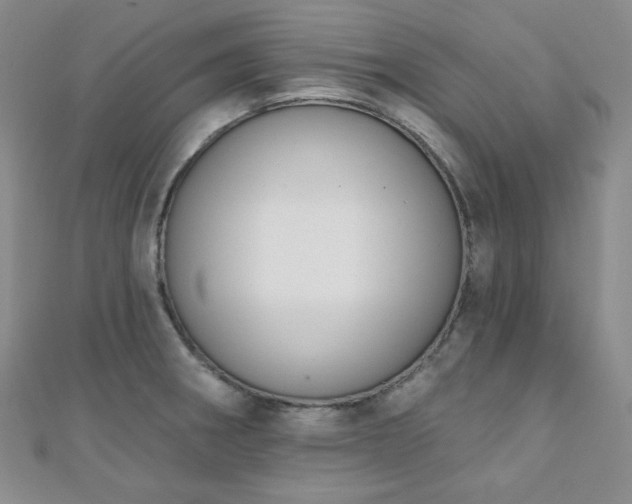 X0000110741282200906151056