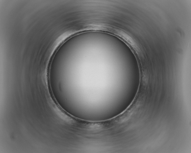 X0000110741283200906151056
