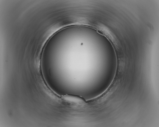 X0000110741284200906151056