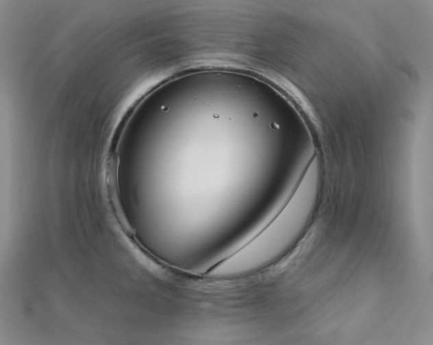 X0000110741285200906151056