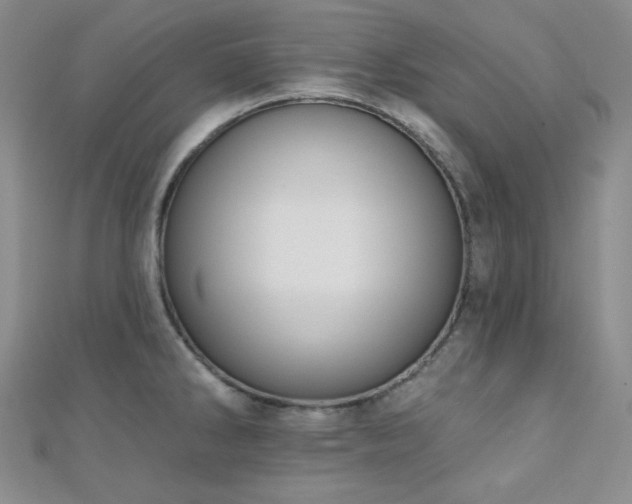 X0000110741286200906151056