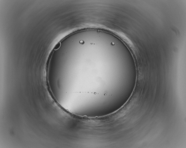 X0000110741287200906151056