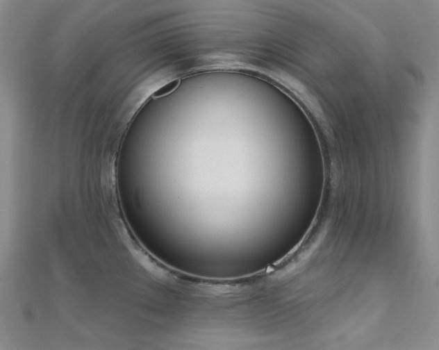 X0000110741289200906151056