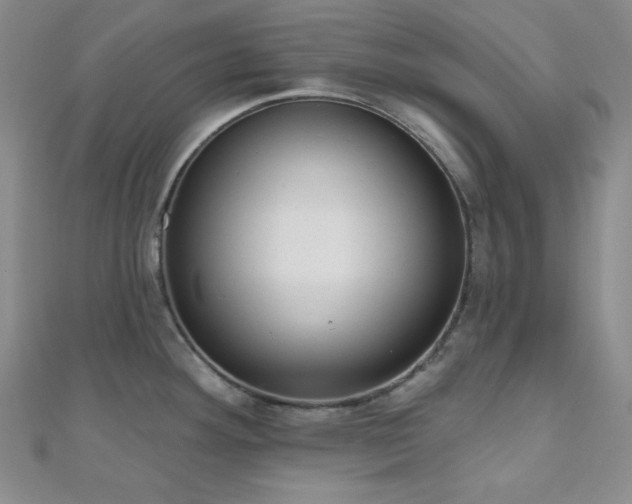 X0000110741292200906151055