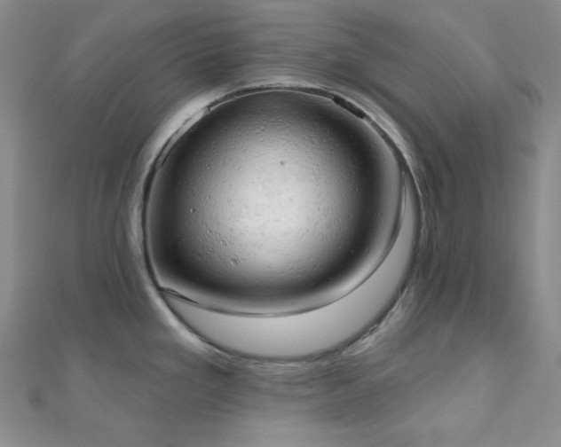 X0000110741293200906151055