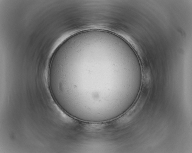 X0000110741294200906151055