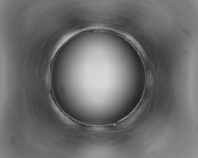 X0000110741295200906151055