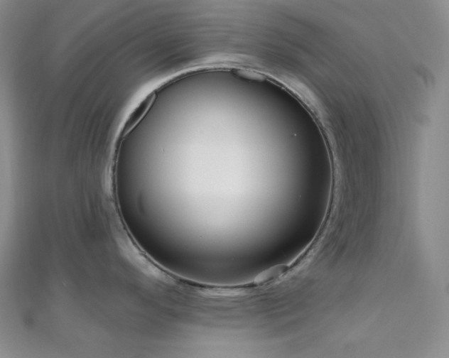 X0000110741296200906151055