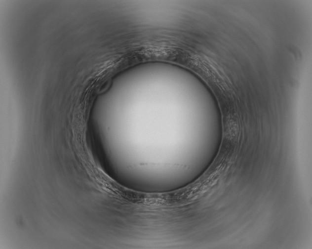 X0000110741297200906151055