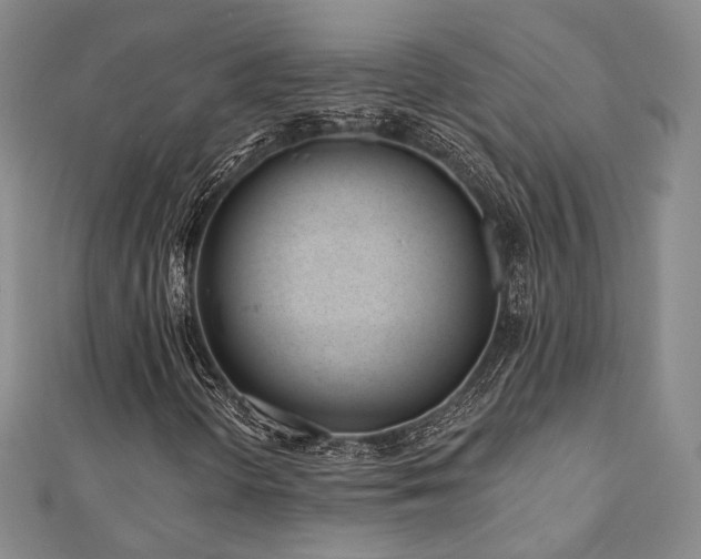 X0000110741298200906151055