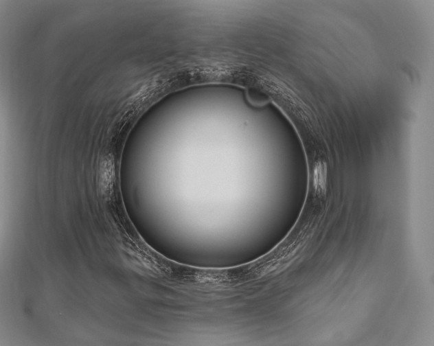 X0000110741299200906151055