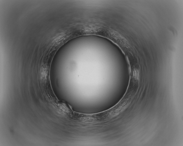 X0000110741300200906151055