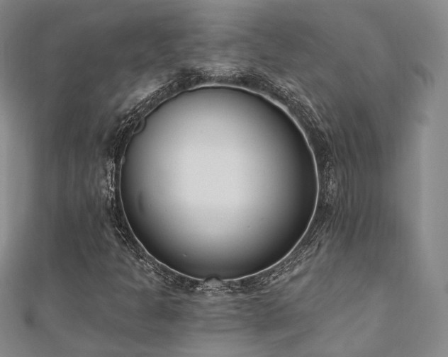 X0000110741301200906151055