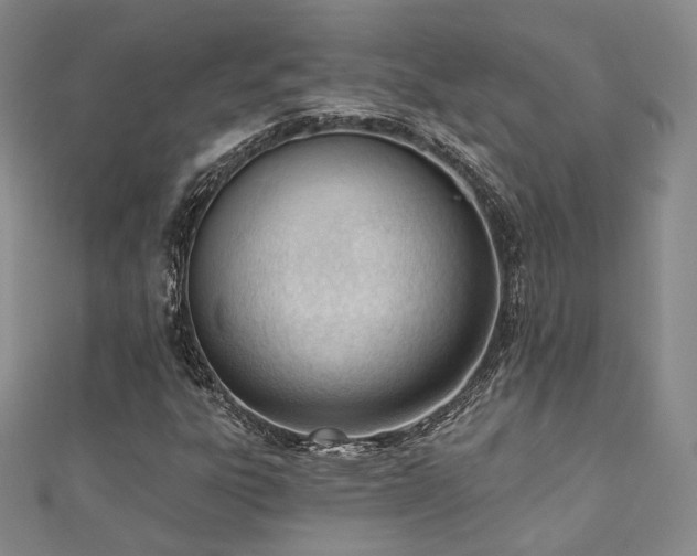 X0000110741303200906151055