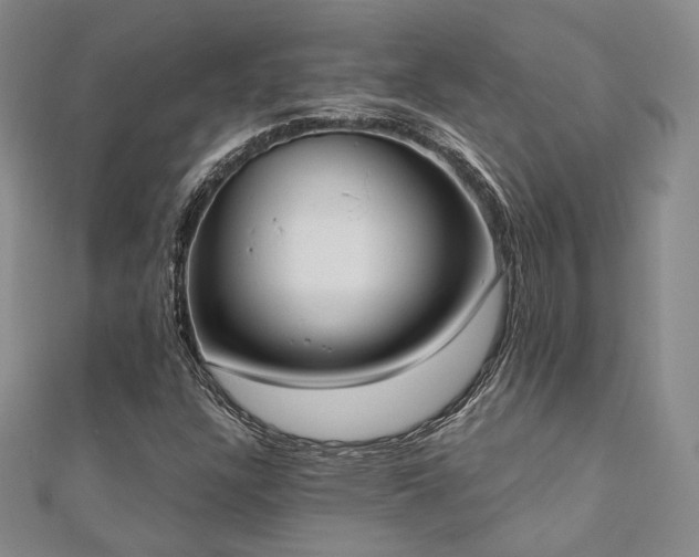 X0000110741304200906151055