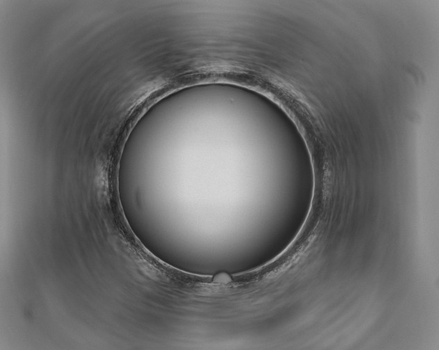 X0000110741305200906151055