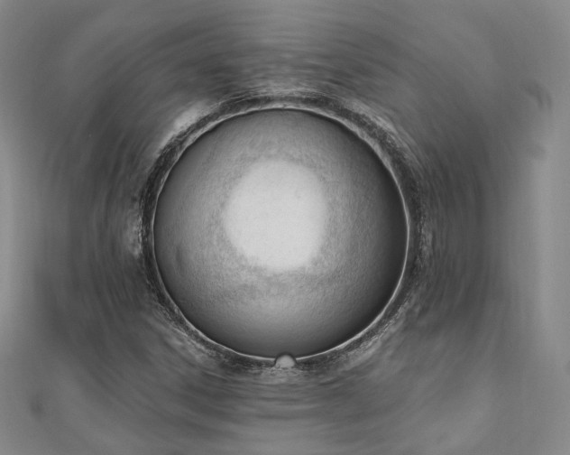 X0000110741306200906151055