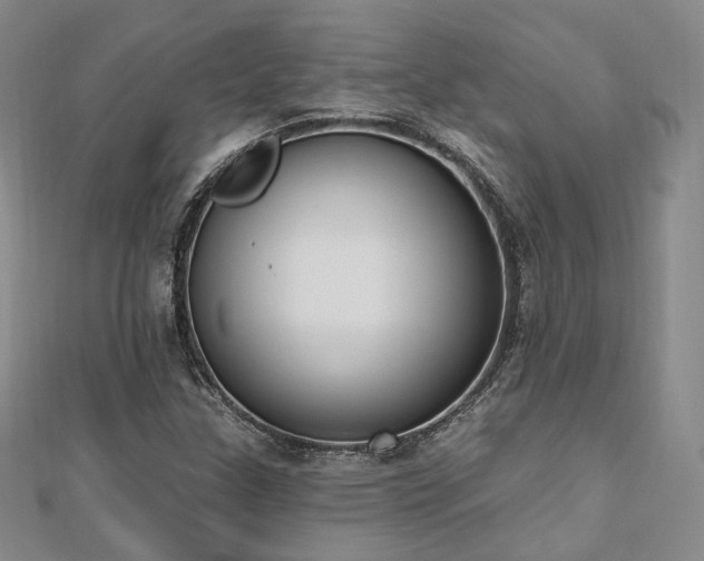 X0000110741307200906151055