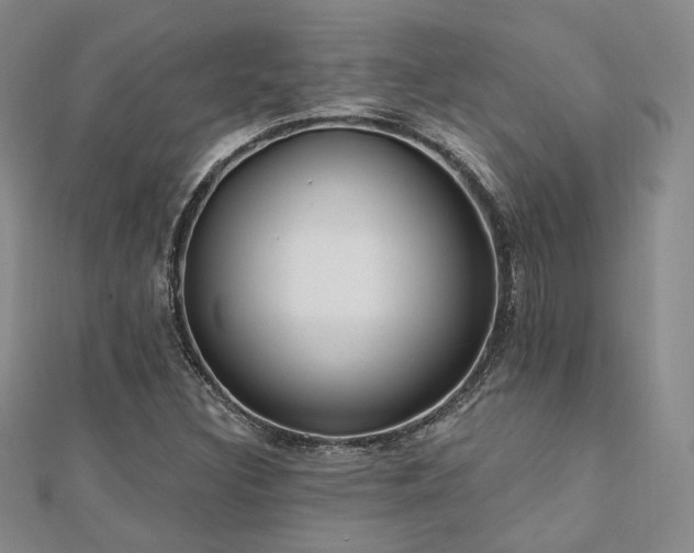 X0000110741308200906151055