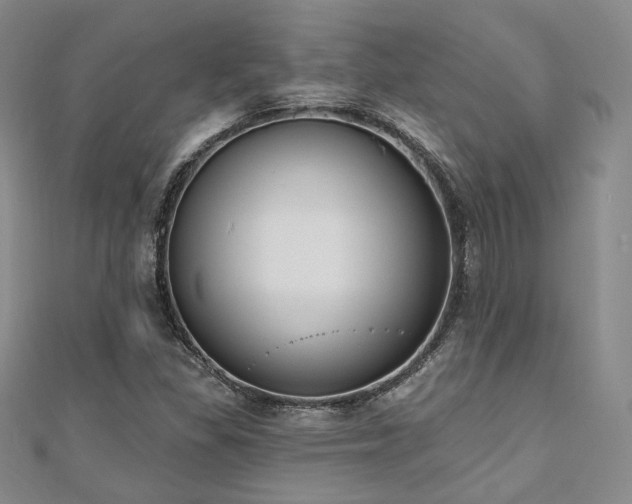 X0000110741309200906151055