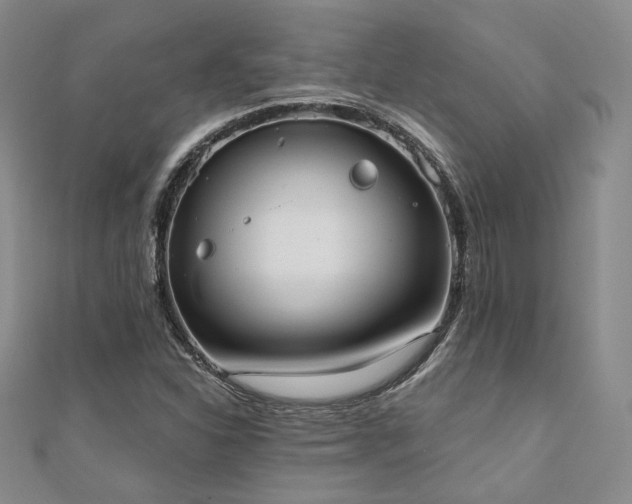 X0000110741310200906151055