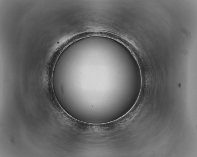 X0000110741311200906151055