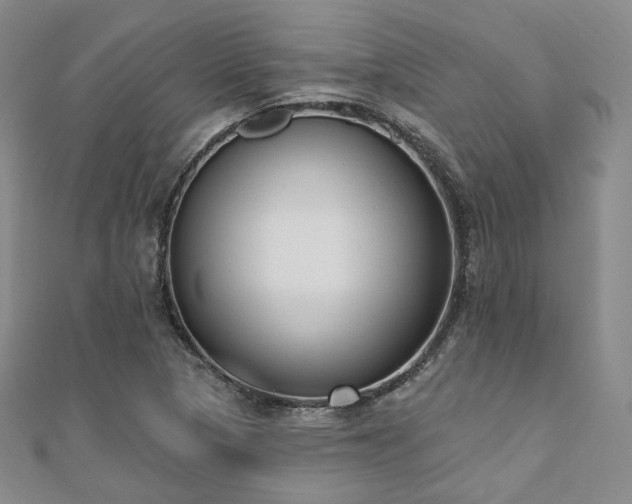X0000110741313200906151055