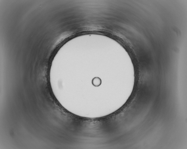 X0000110741314200906151055