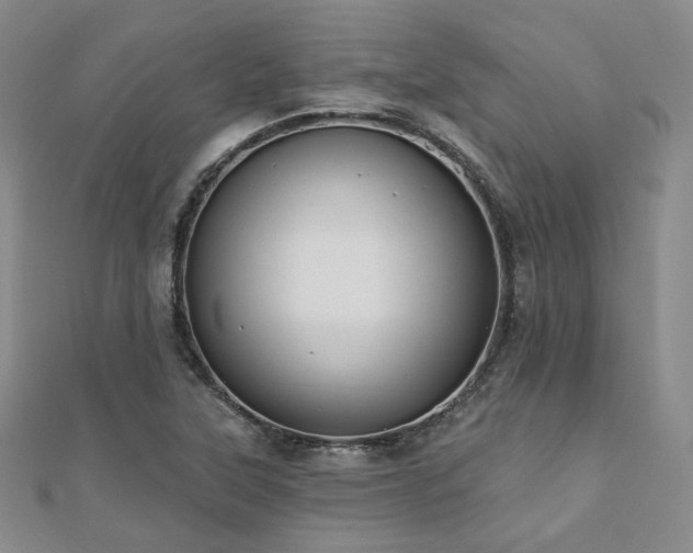 X0000110741315200906151055