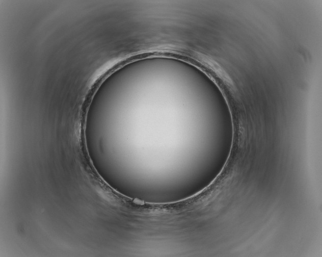 X0000110741316200906151055