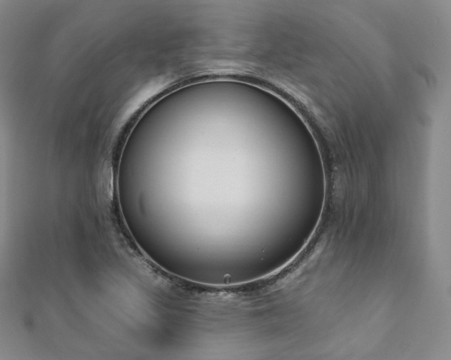 X0000110741317200906151055
