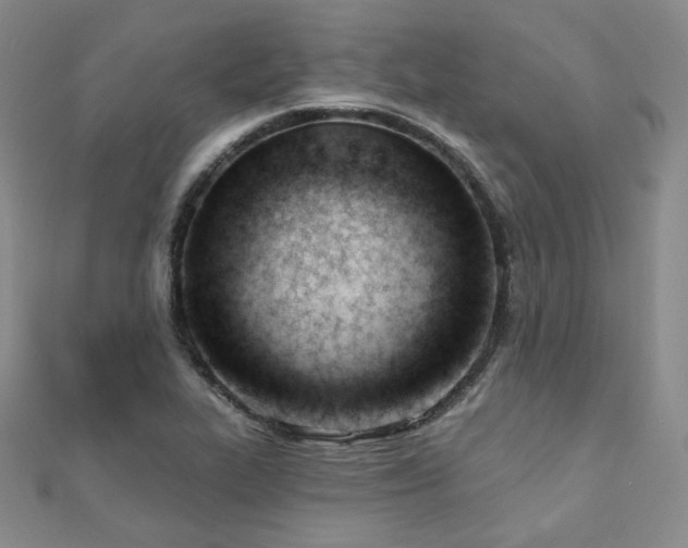 X0000110741319200906151055