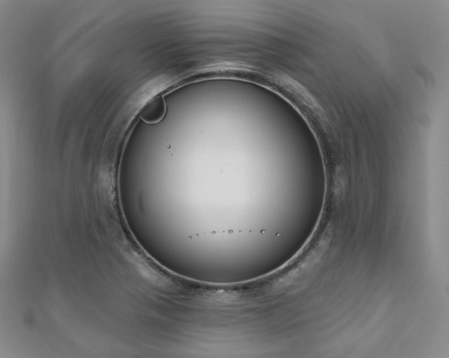 X0000110741321200906151055
