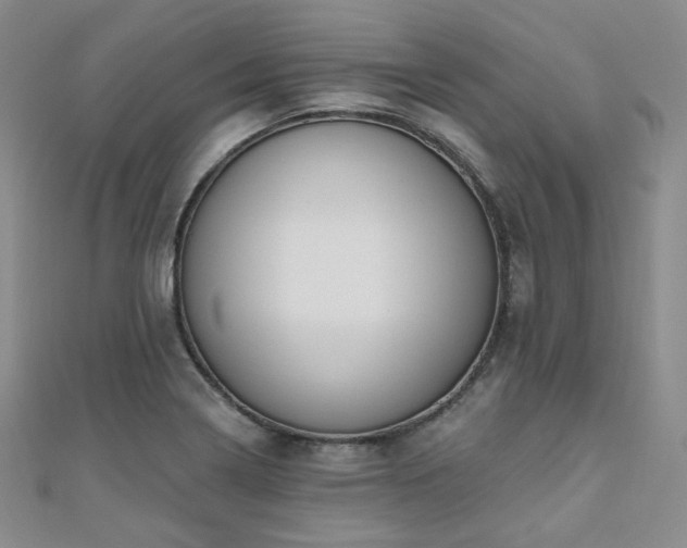 X0000110741322200906151055
