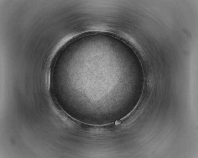 X0000110741323200906151055