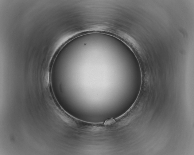 X0000110741324200906151055