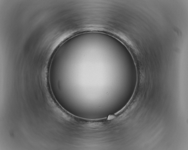 X0000110741325200906151055